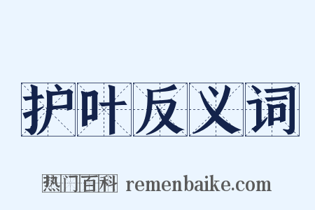 护叶反义词是什么意思的图片